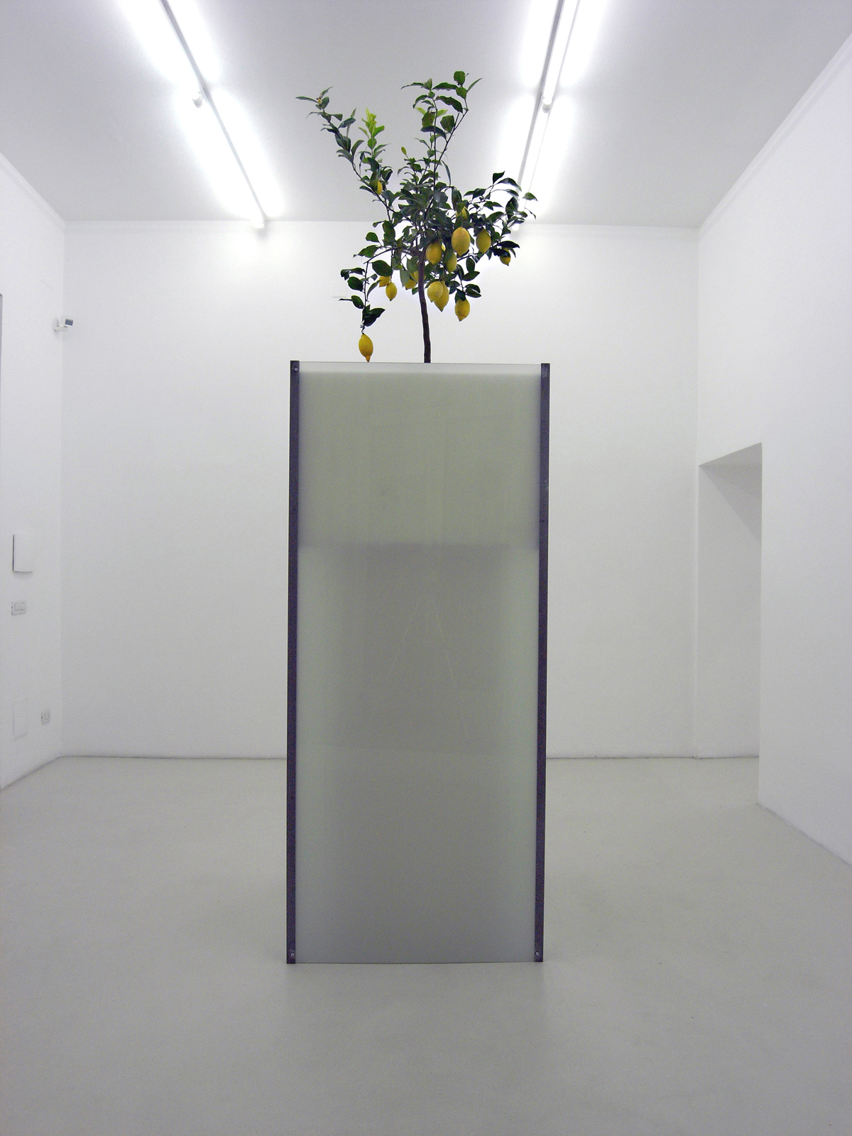 Microcosm, 2008, exhibition view