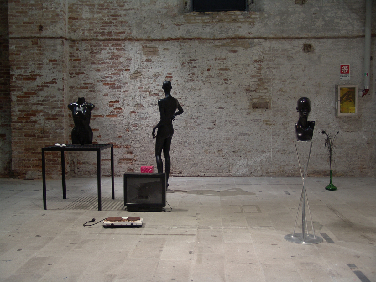 Europa 3000, 2011, installation view at at 54th International Art Exhibition – la Biennale di Venezia