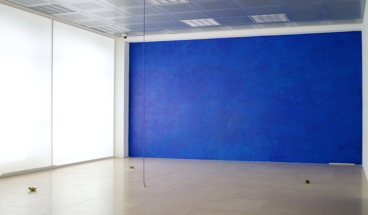 Untitled, 2011, installation view at Banca Akros, Milano photo Tartaruga