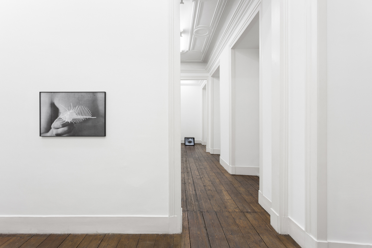 Restless, 2015, exhibition view at Vera Cortês Gallery, Lisbon, P