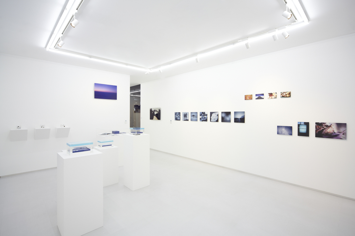 Cherubino, 2013, exhibition view at 8 Art Gallery/ Tomio Koyama, Tokyo