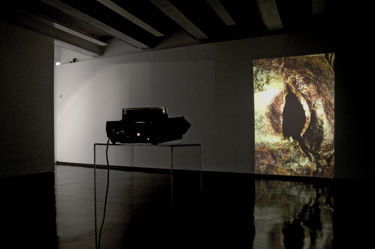 Dead Blink 2014, temporized slide projection, installation view at MACRO, Roma © Luis do Rosario