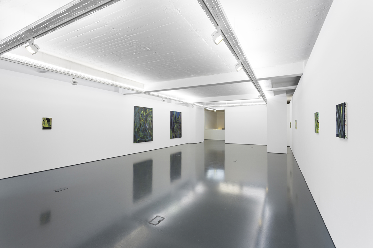 Z, 2013, exhibition view at Galeria Pedro Cera, Lisboa