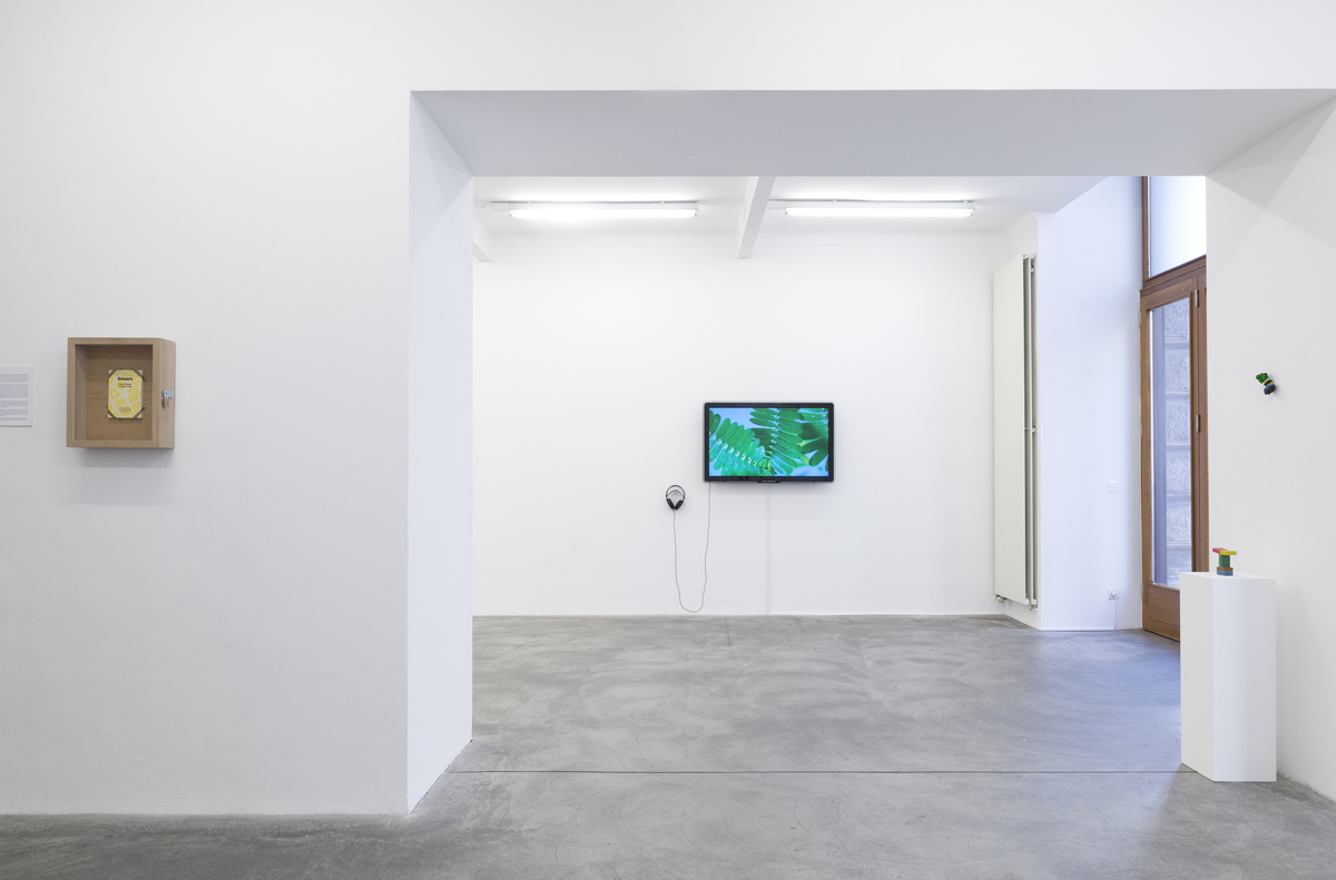 The winter of our discontent, 2016, exhibiton view at Galerie Martin Janda, Wien - photo Markus Wörgötter / The Pudic Relation Between Machine and Plant, 2016, 2 min. 30 sec., video loop, sound