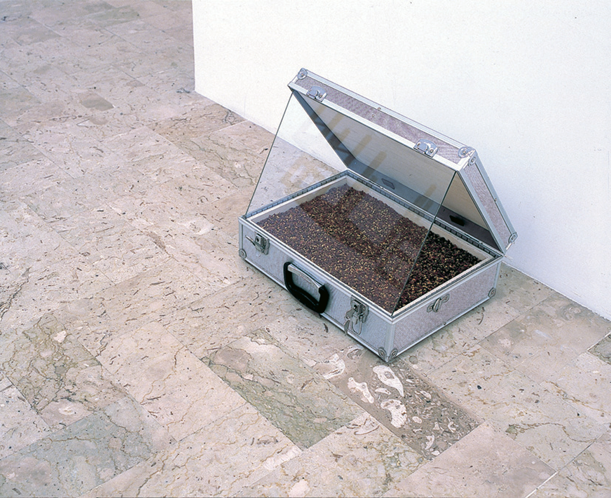 Casa del peperoncino, 2004, wood, bag, glass, red pepper, cm 38 x 46 x 41