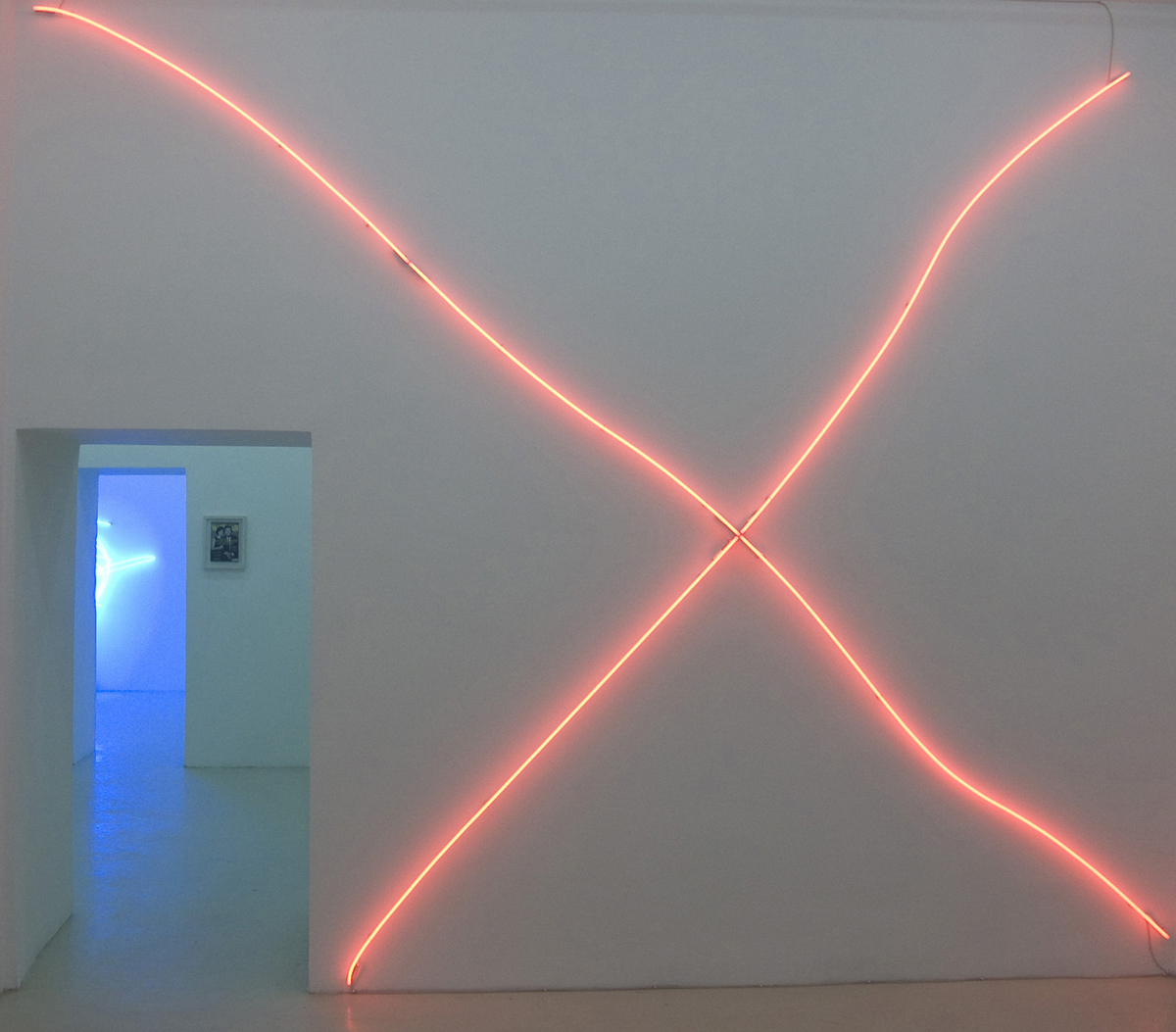 Untitled, 2008, neon light, cm 542 x 445