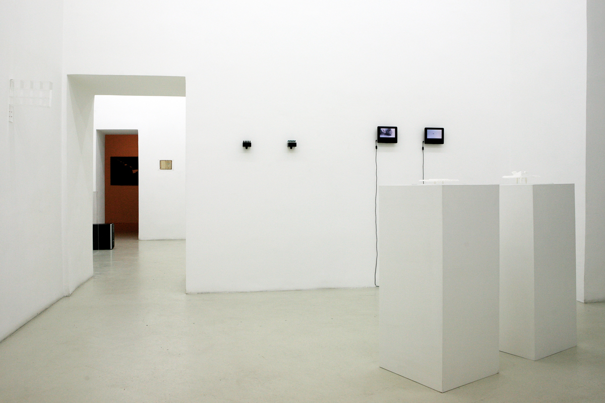 Yaima Carrazana, exhibition view