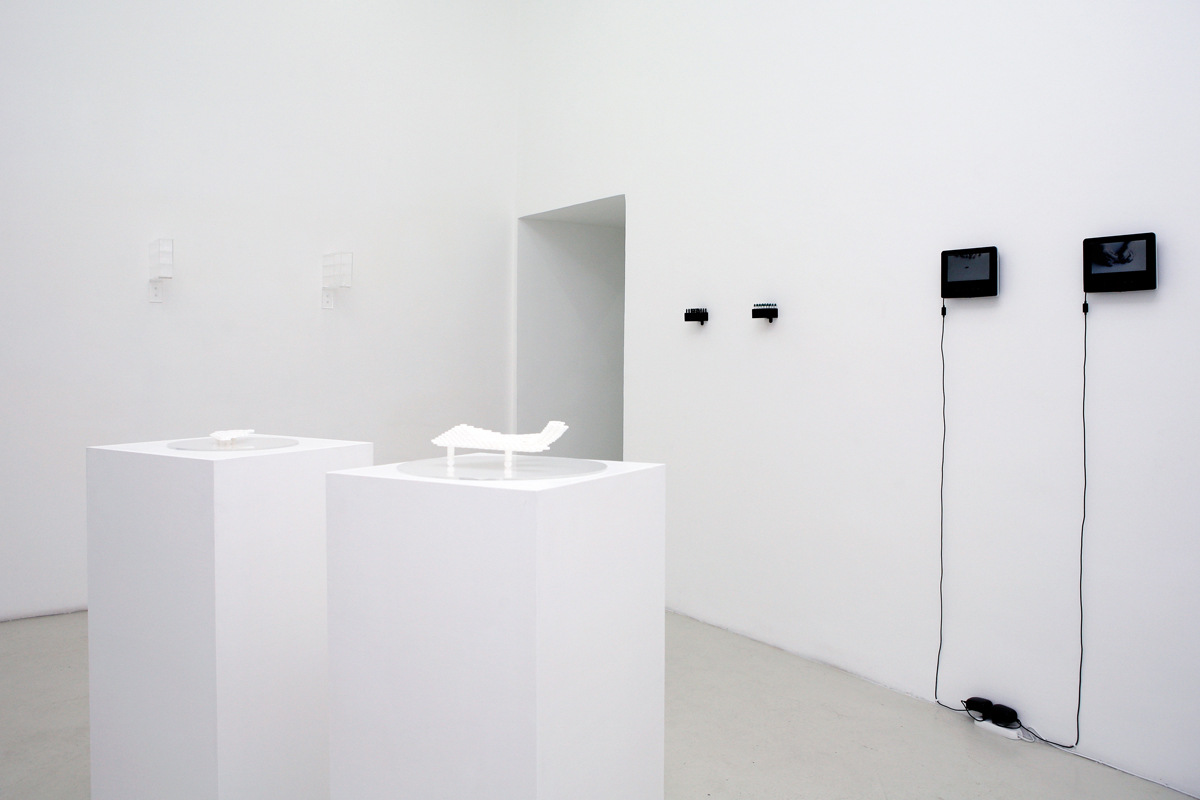 Yaima Carrazana, exhibition view
