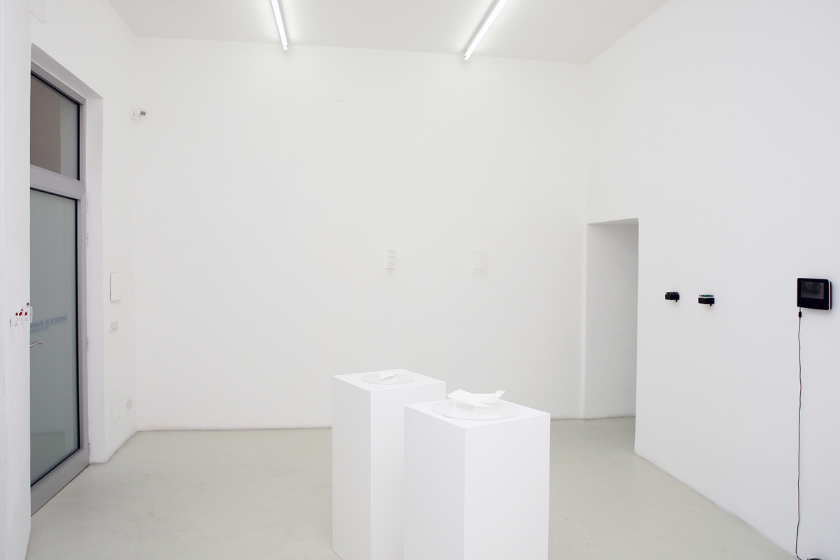 Yaima Carrazana, exhibition view