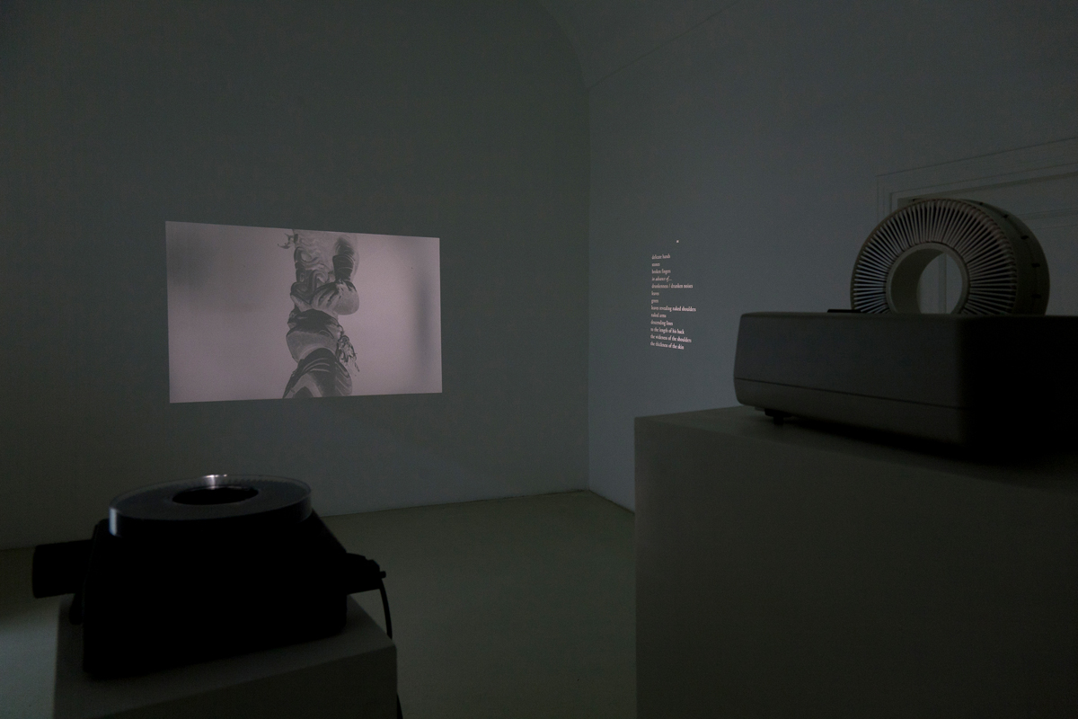 Barbarian Poems, 2011, exhibition view 