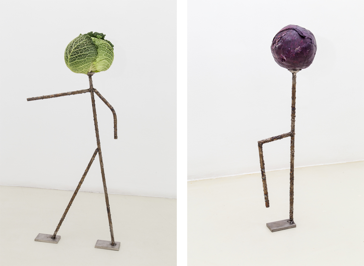 Capo (capurale), 2014, stainless steel worked, vegetable Cafone, 2014, stainless steel worked, vegetable