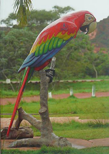 Sergio Vega Parrot Theory - 2009 - exhibition Galerie Karsten Greve, Paris Edition Galerie Karsten Greve, Paris - ISBN 9783940824400 