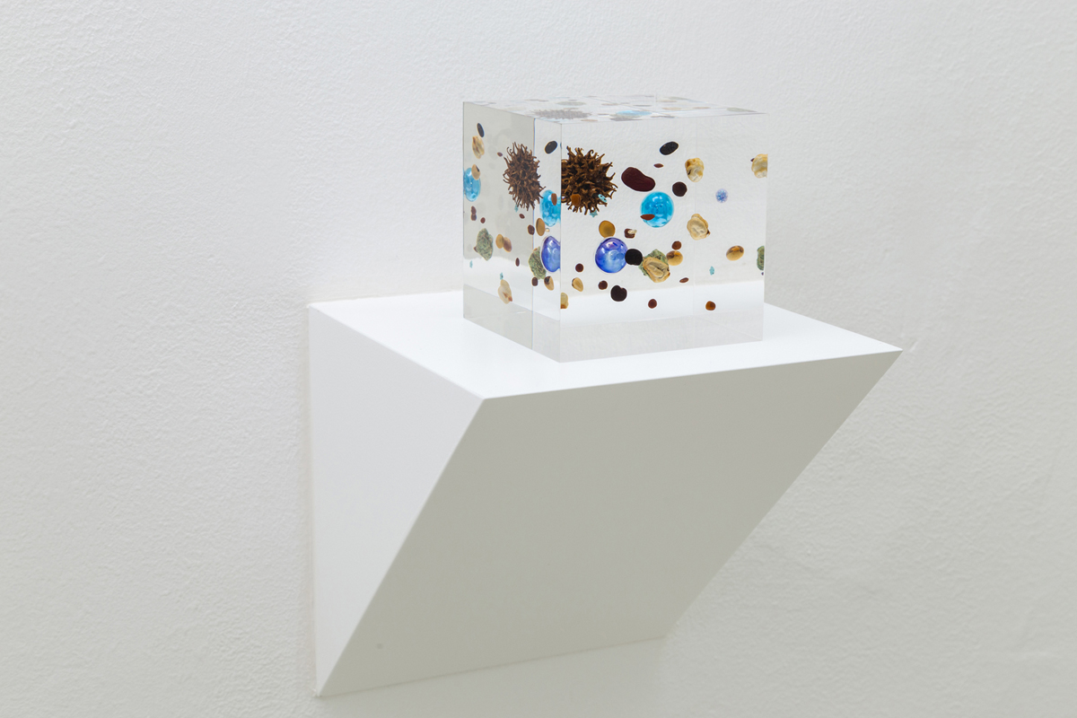 Beans Cosmos, 2014, acrylic resin, legume, gold, map, marble, plastic, fruit of sweetgum, cm 10x10x10