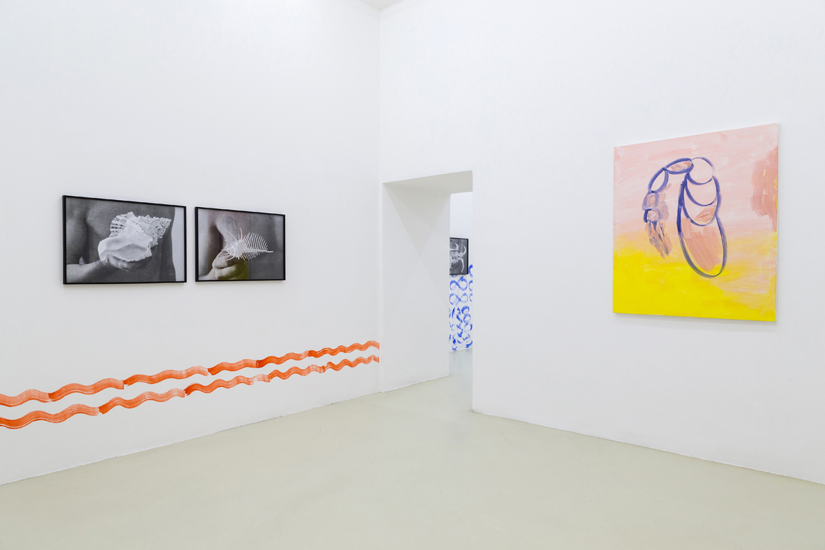 Sirena, 2015, exhibition view