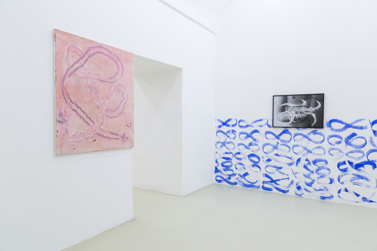 Sirena, 2015, exhibition view
