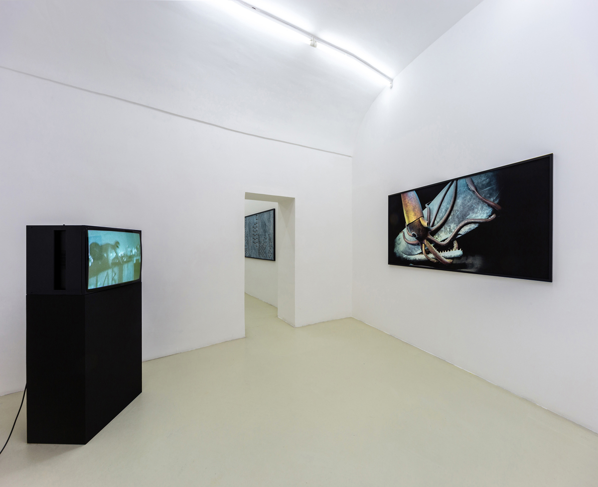 Cronache, 2015, exhibition view