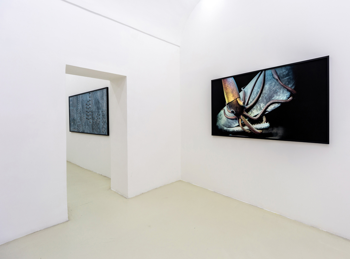 Cronache, 2015, exhibition view