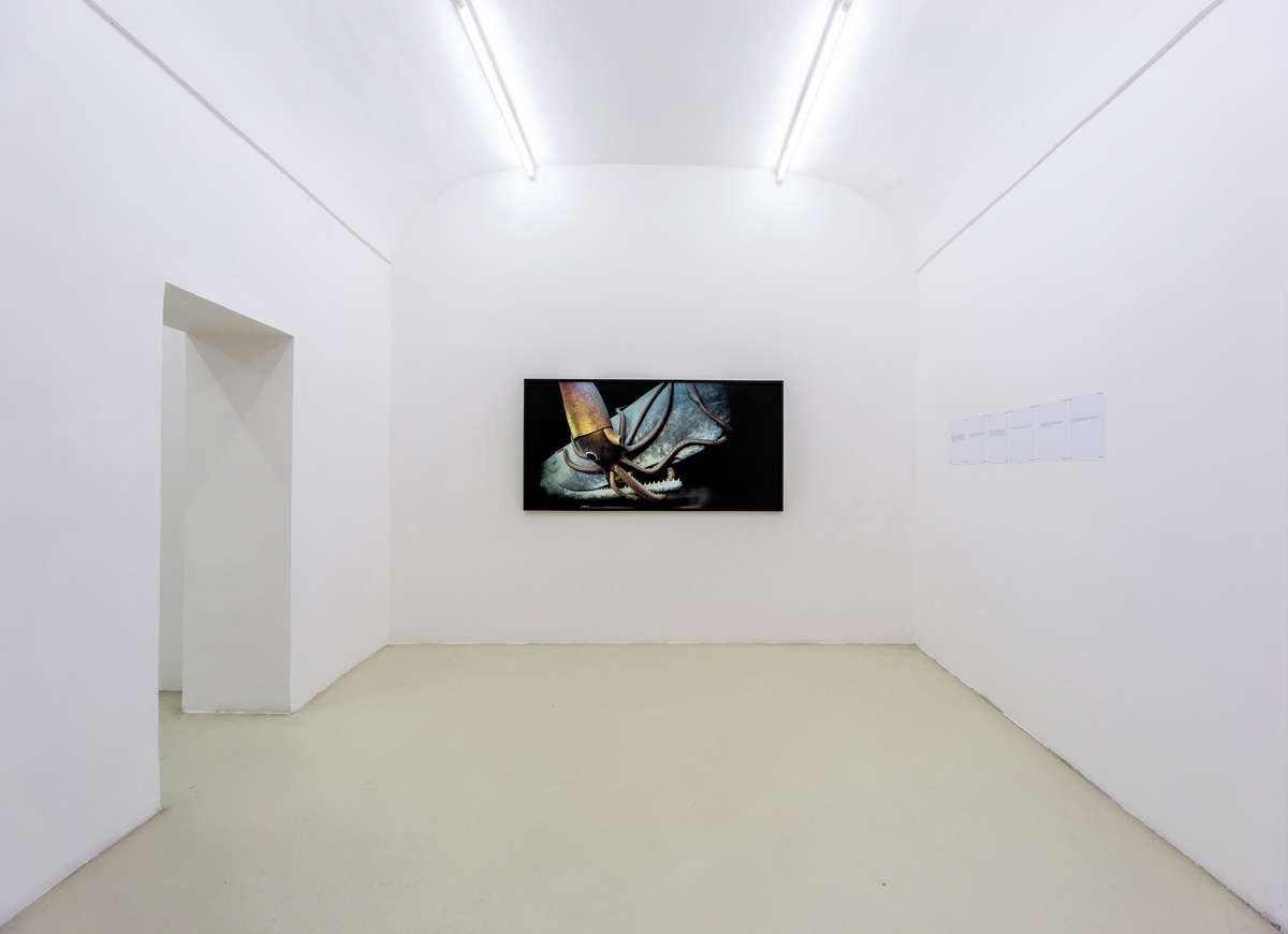 Cronache, 2015, exhibition view